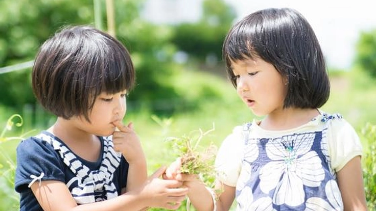 「VEGAN子育て」を支援する情報サイトを開設したい！