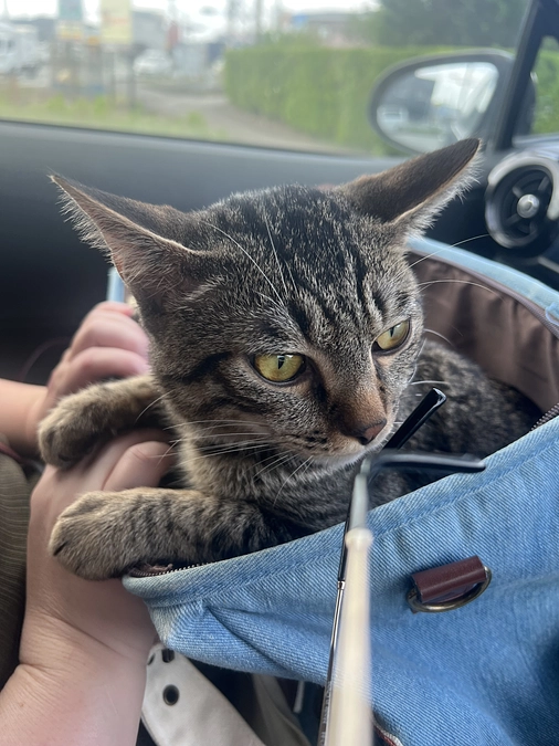 達成しました!ありがとうございます!