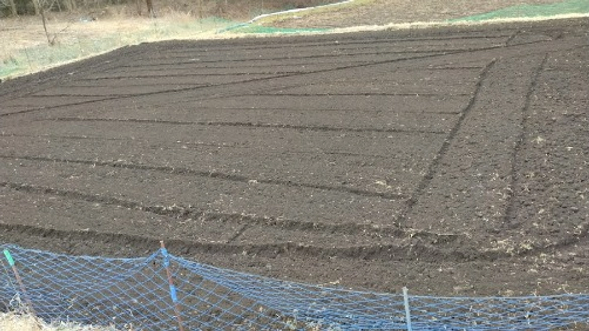 じゃがいもを植えました！　～その１　畑作り～