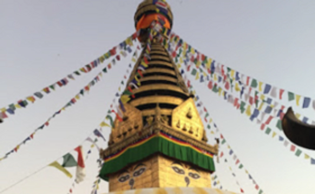 全額活動費に充てさせていただきます