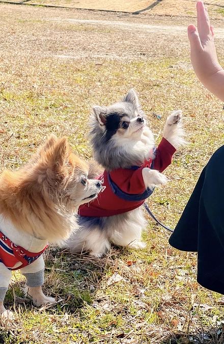 術後8ヶ月を迎えることが出来ました☘️