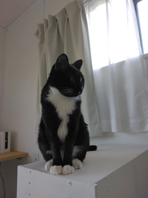 1/30はなちゃんの様子