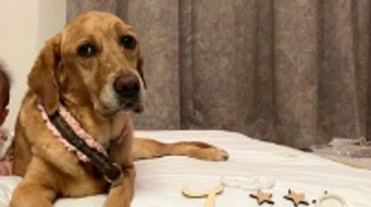 ウィルちゃん理想のボディ！