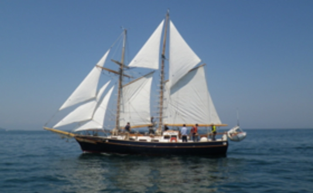 Ami号に乗ろう！１日乗船チケット