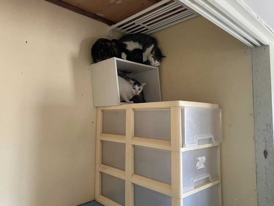 引っ越しいたしました！！