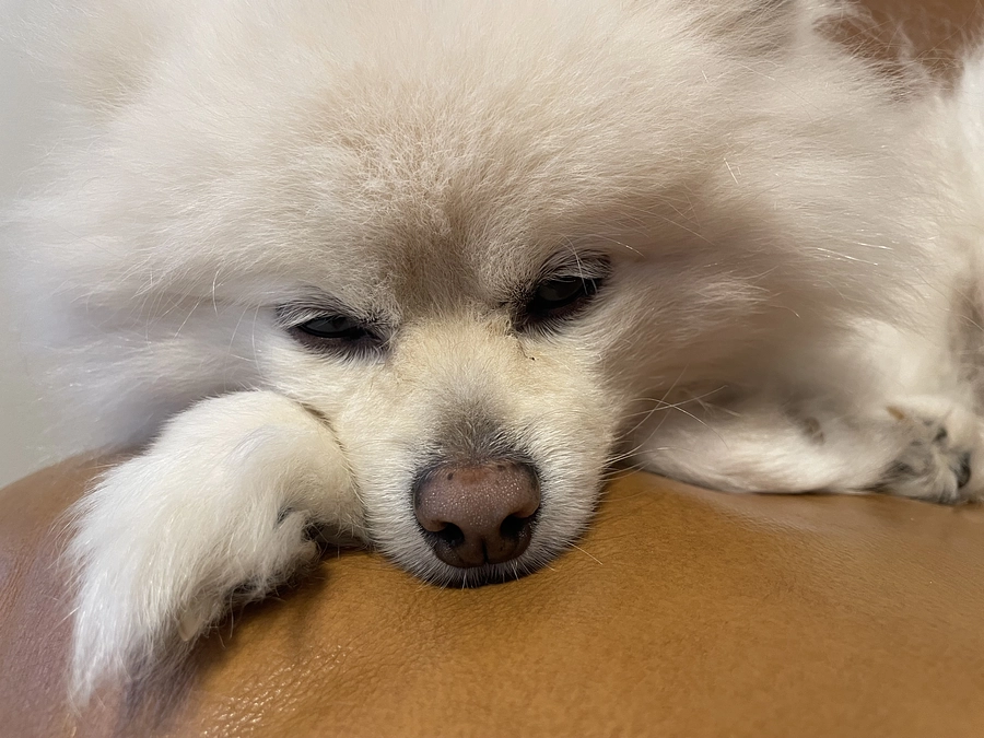 術後の検査(1ヶ月検診)