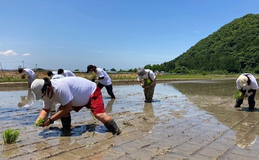 【福井県外の方限定】福井県立大学開発！山田錦ＦＷ１号による日本酒（4合瓶1本）