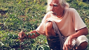 炭焼きとニーム植林で森をつくり、カカオとガーナ農業を支援したい！+ のトップ画像