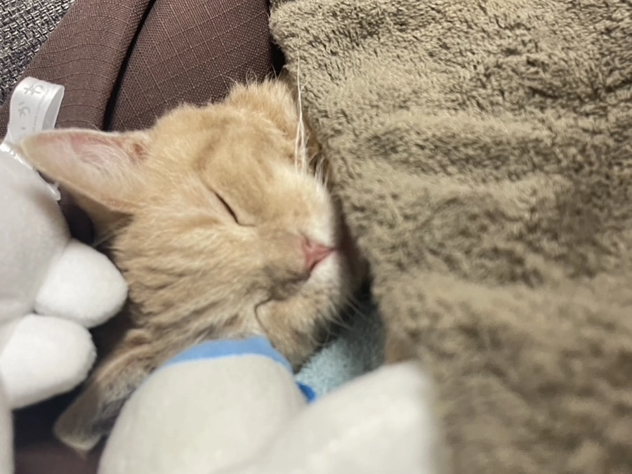 記念すべき最初の支援！心からの感謝と決意