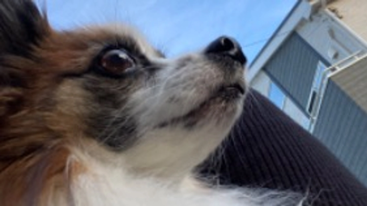 🐼🐾残り1週間となりました💦