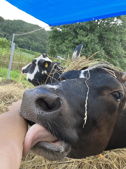 カフェCalmを創ります