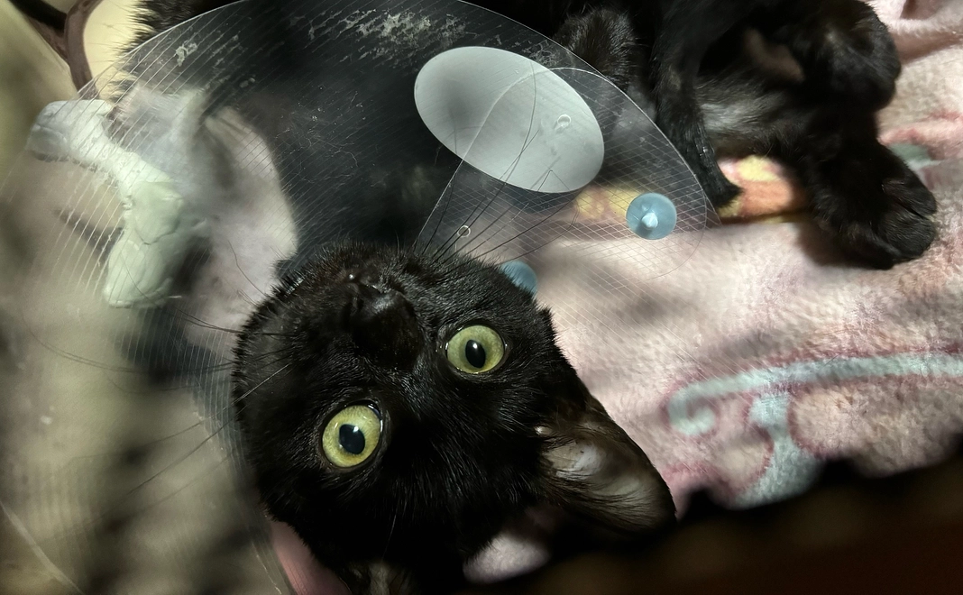 ご支援プラン１