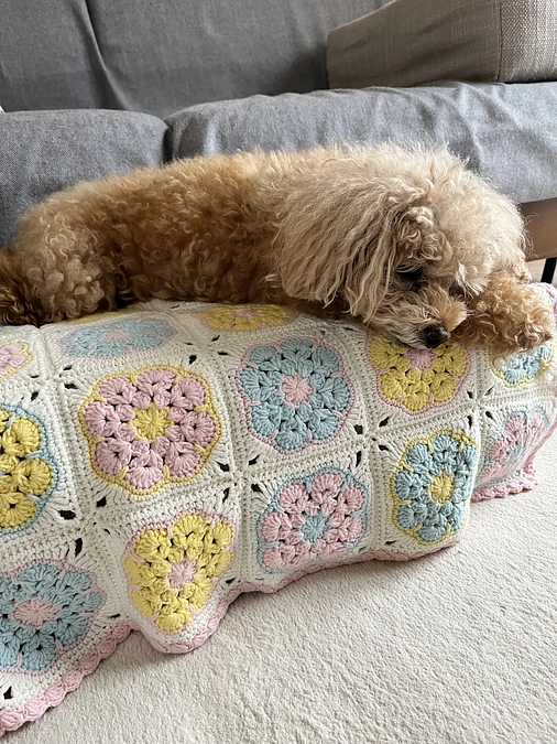 皆様、ご支援ありがとうございます！