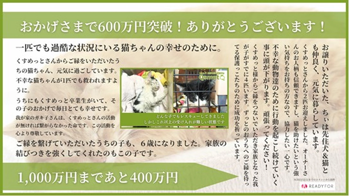 誰かに褒められたい訳ではなく 誰かの為でもなく　1匹でも多くの子達を助けたい