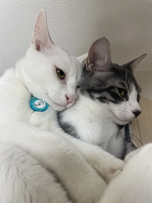 仲良し兄妹のご紹介