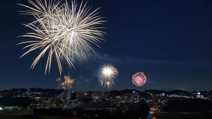 えびフェス2022 花火で彩る地域のたから