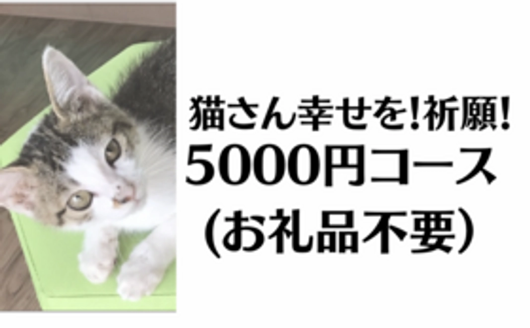 猫さん幸せを！祈願！5000円コース（お礼品不要）