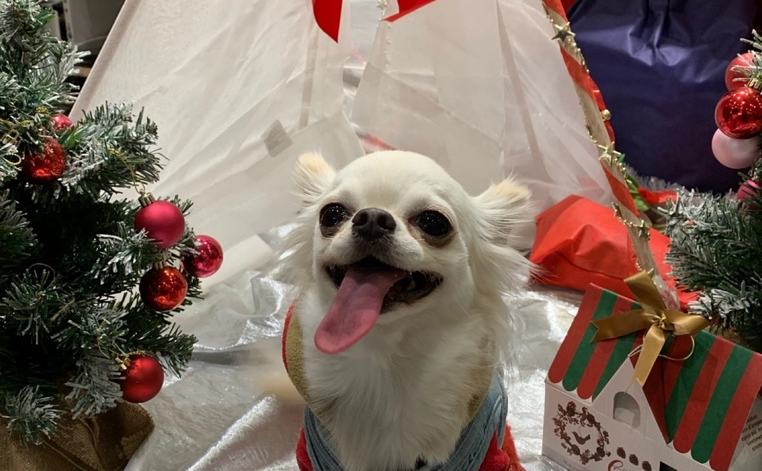 感謝のメールと活動報告10000