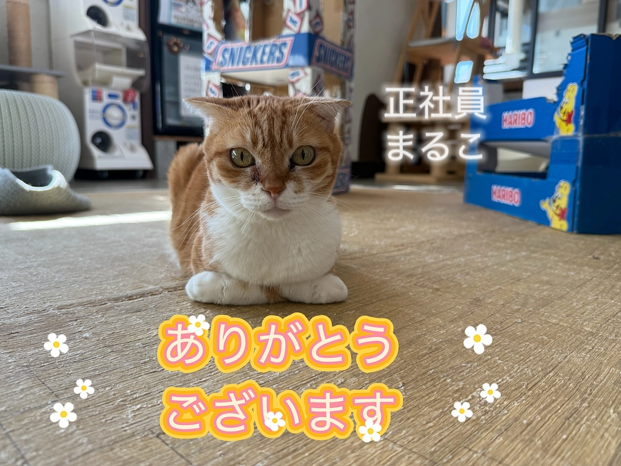 温かい応援を力にして