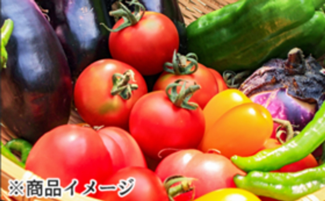 旬の野菜詰め合わせセット（12品）×２回