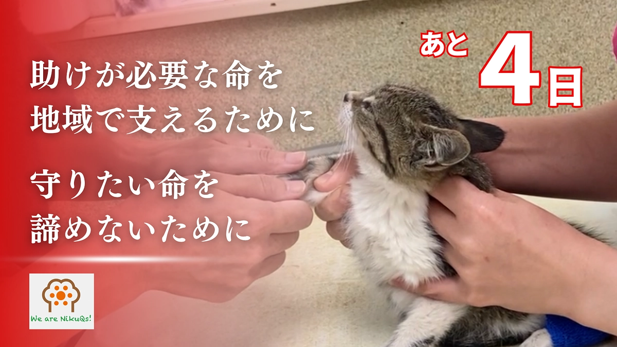 残り4日となりました！プロジェクトにかける想い