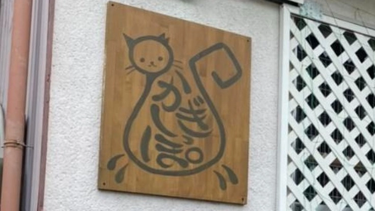 保護猫カフェ＆キャットシッター「かぎしっぽ」を助けたい