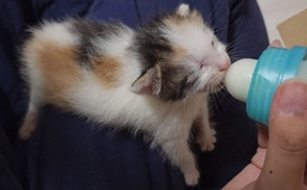 毎月１００００円の応援