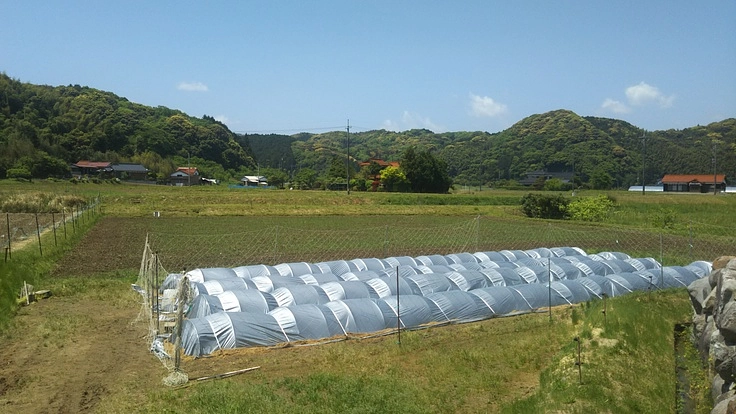 離農ピンチ！ 義父の“おいしいお米”づくりの下支えをしたい！