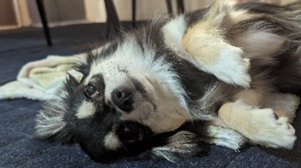 今日は8ヶ月最後の日です