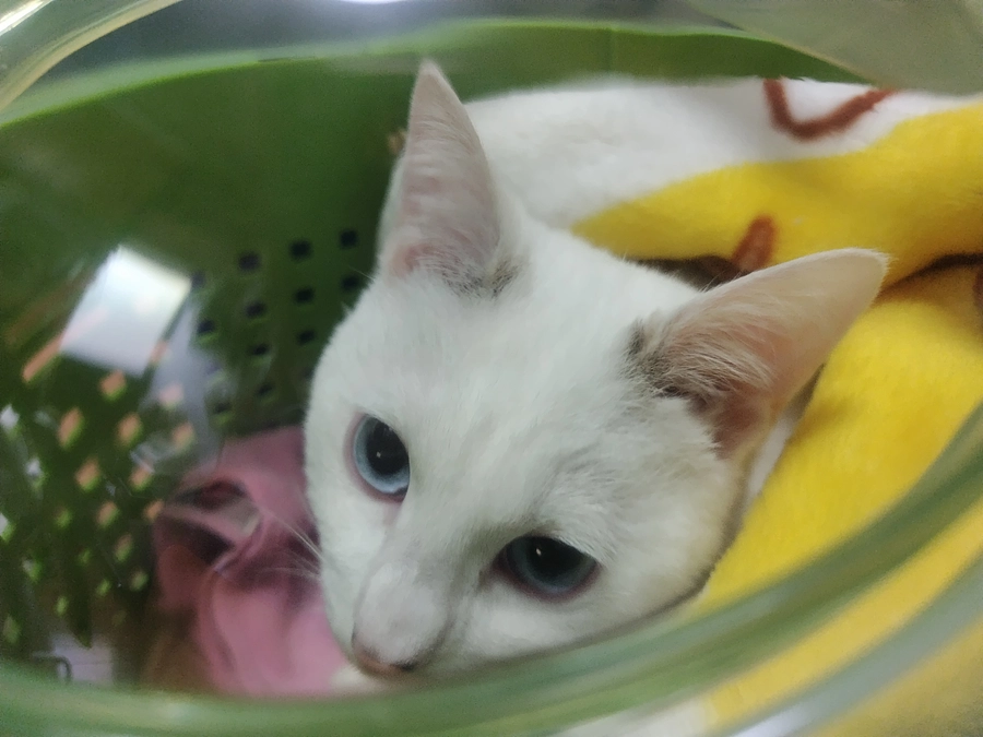 診察に行ってきました！