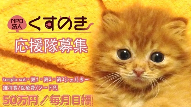 くすのき応援隊募集|無垢な瞳に目眩い未来を!