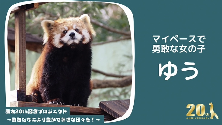 風太20th記念プロジェクト～動物たちにより豊かで幸せな日々を！～ 6枚目