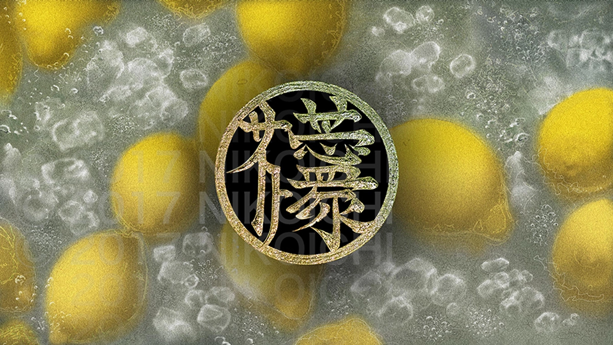 美術学術書に載せる作品の候補を決めました。