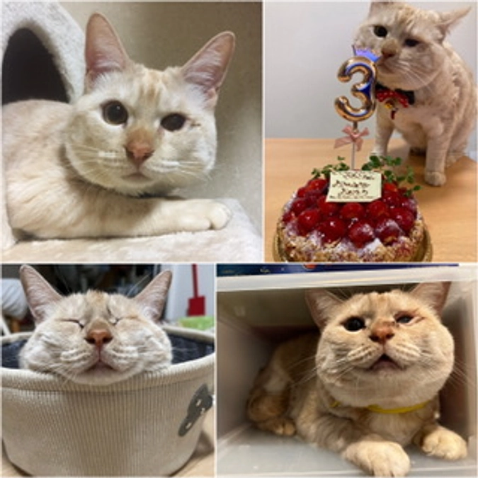 里親さん リレー③