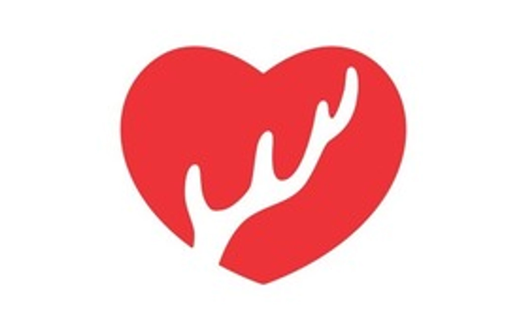 ココロのご支援 × 1コース