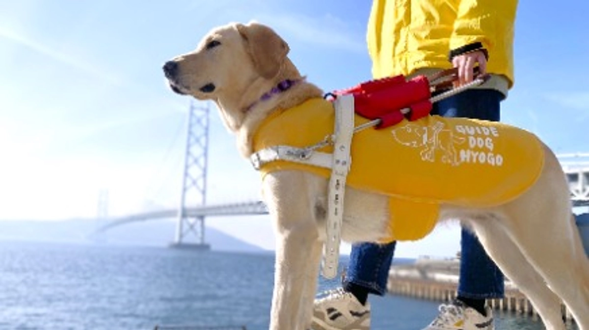 【お知らせあります！】８月も終わりそうですね💦