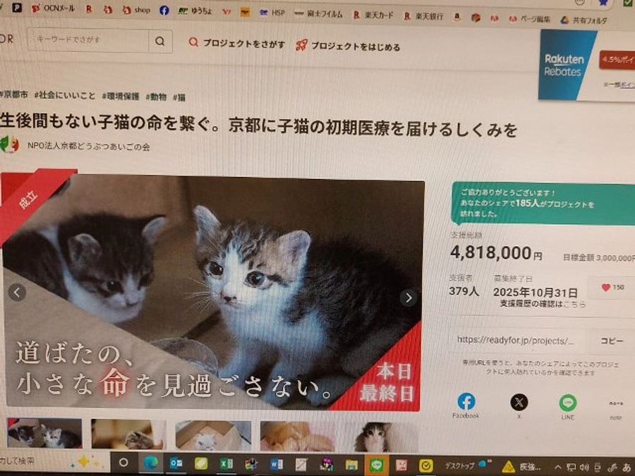 プロジェクトの収支報告