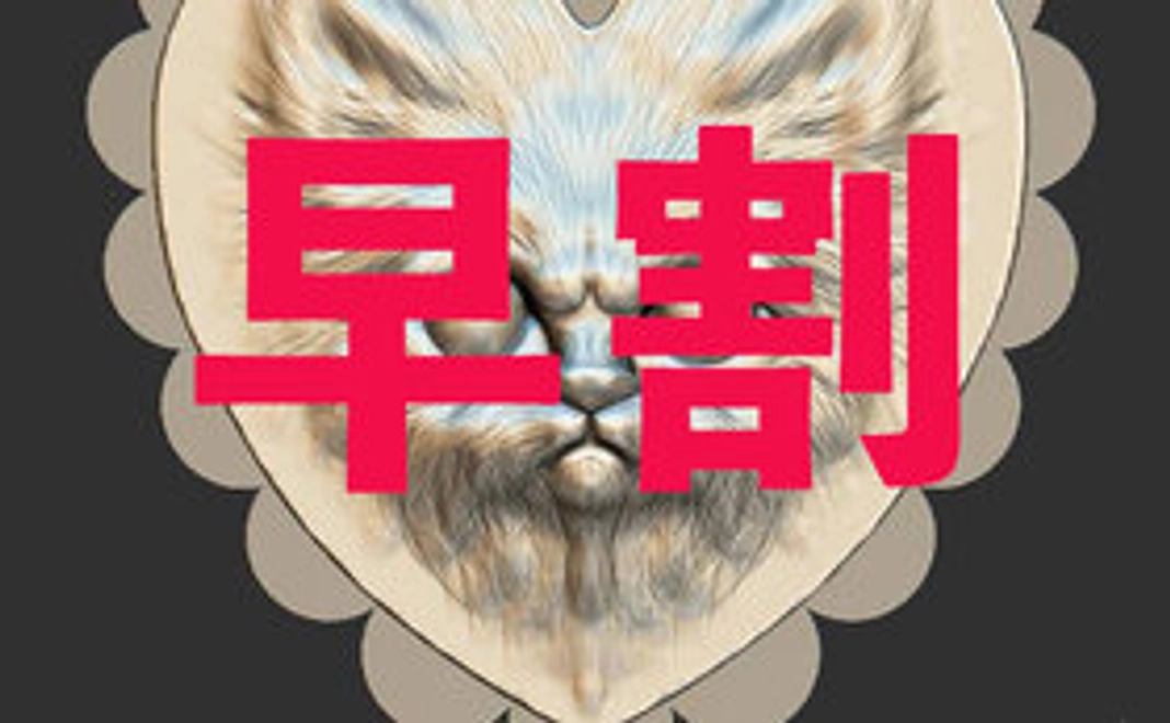 【早割5点】ねこちゃん大好き！チュッチュッチュッ