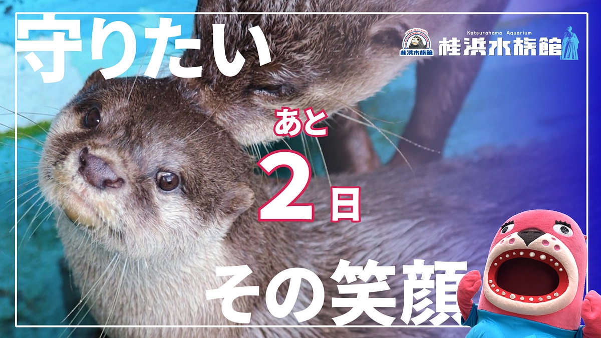 ＼あと2日！／ついに明後日が最終日となります！