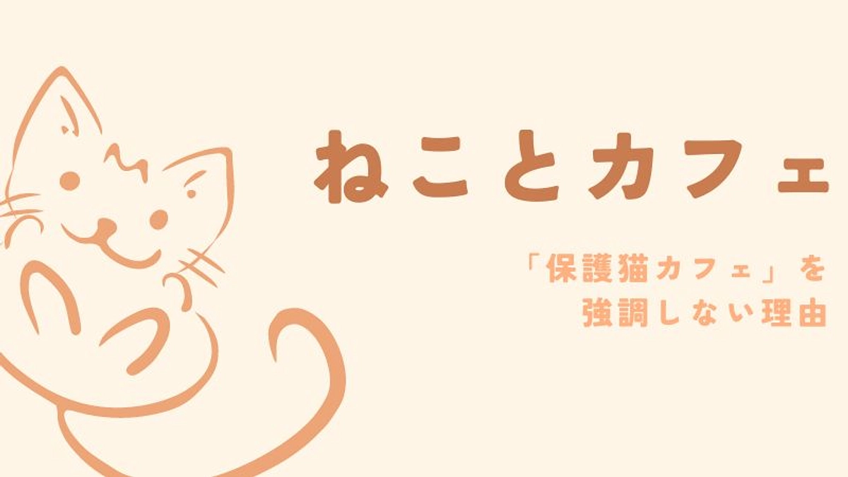 ねことカフェがあえて「保護猫カフェ」を強調しない理由