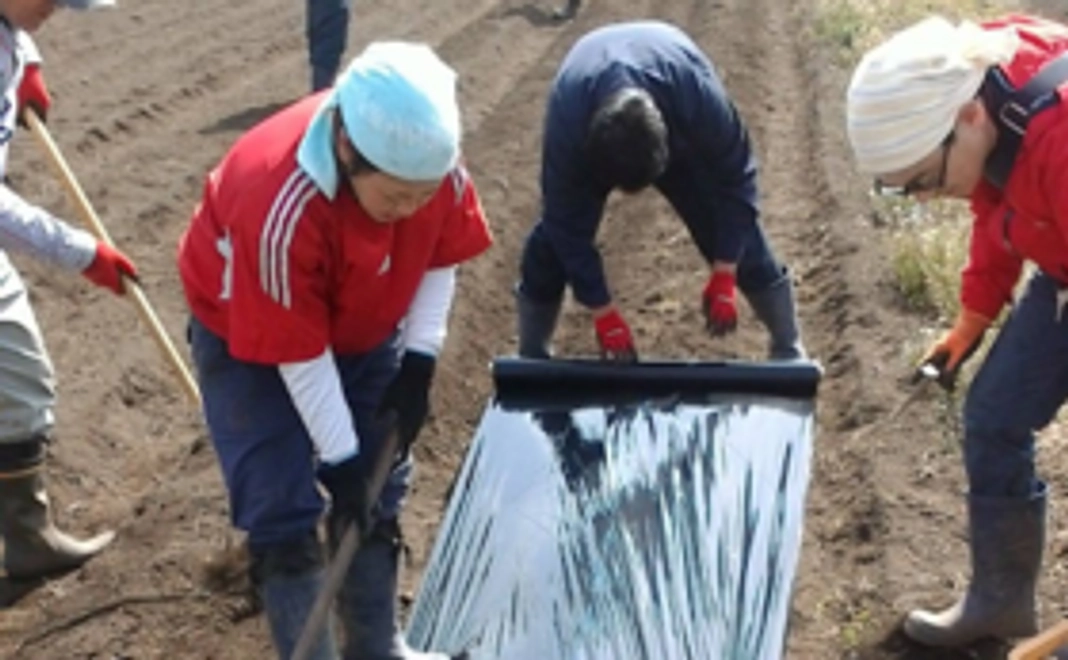 活動のレポートをお送りします