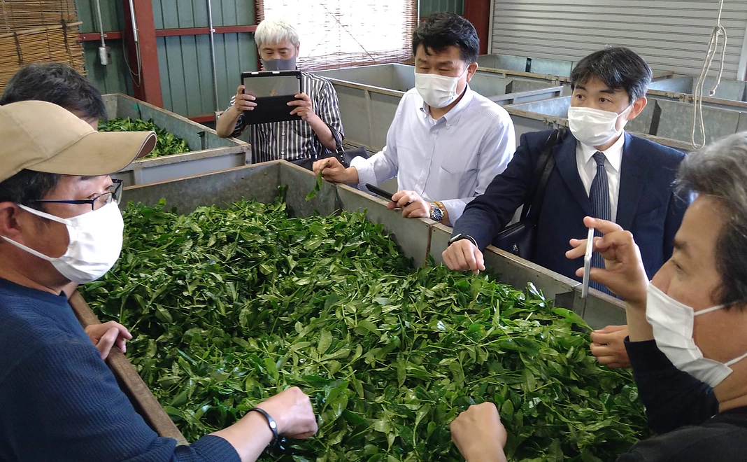 【むらびと体験で応援】日本茶の高級ブランド「宇治茶」を支える茶農家体験コース