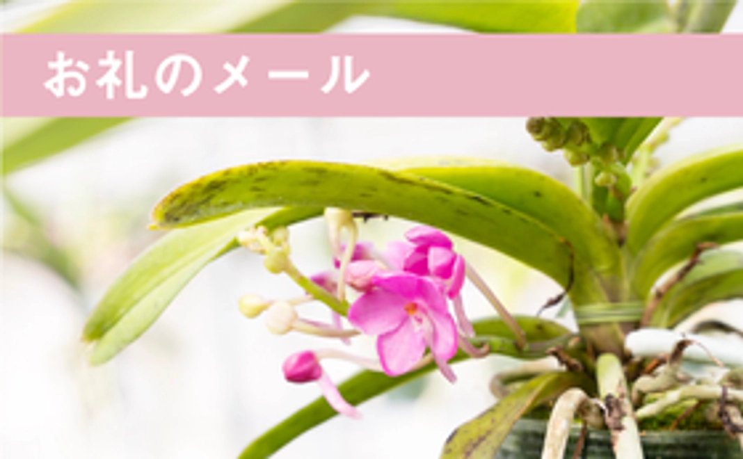 感謝の気持ちを込めたお礼のメール