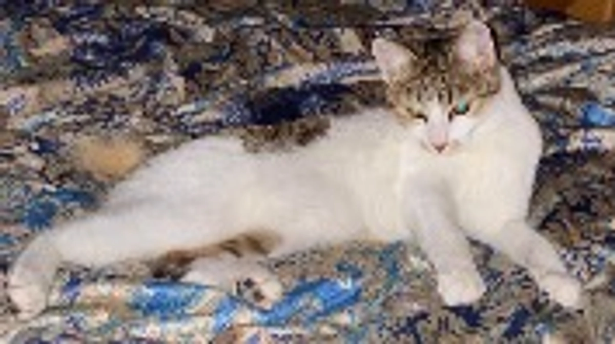 最近のアンジュちゃん♡