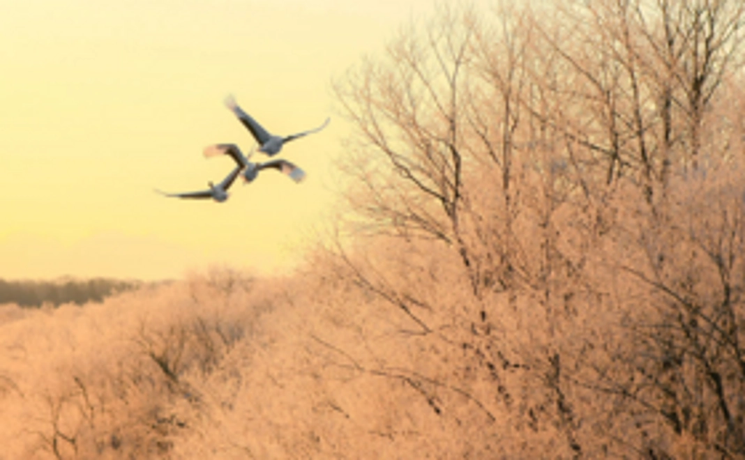 【特別人気につき20冊に増刷！】ここだけの限定写真集をお届け