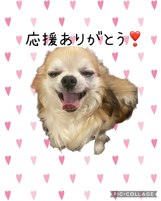 代理支援について