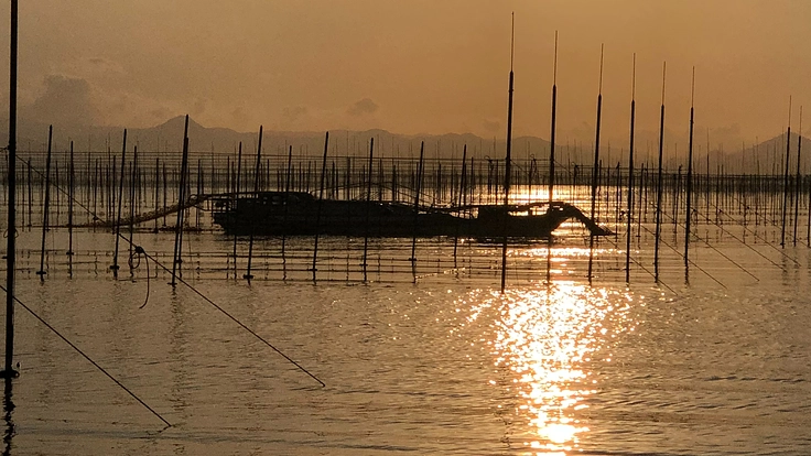 海苔漁業者の船舶整備工場設立及び整備士不足による育成