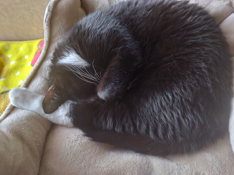 5/13はなちゃんの様子