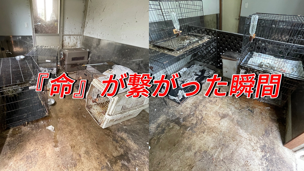 29日からの出来事｡