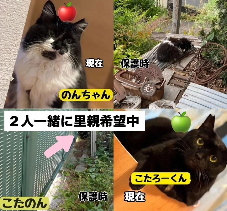 メンバーからの応援メッセージバトンリレー🏃‍♀️